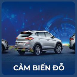 Cảm biến đỗ